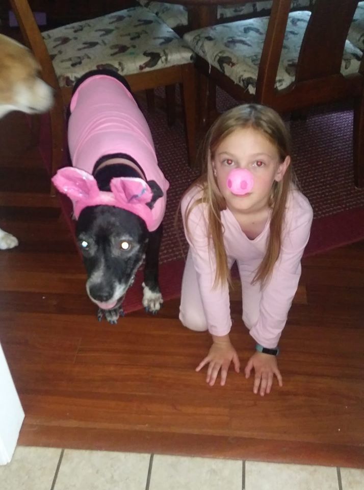 Jiggy with the Piggy 2.jpg